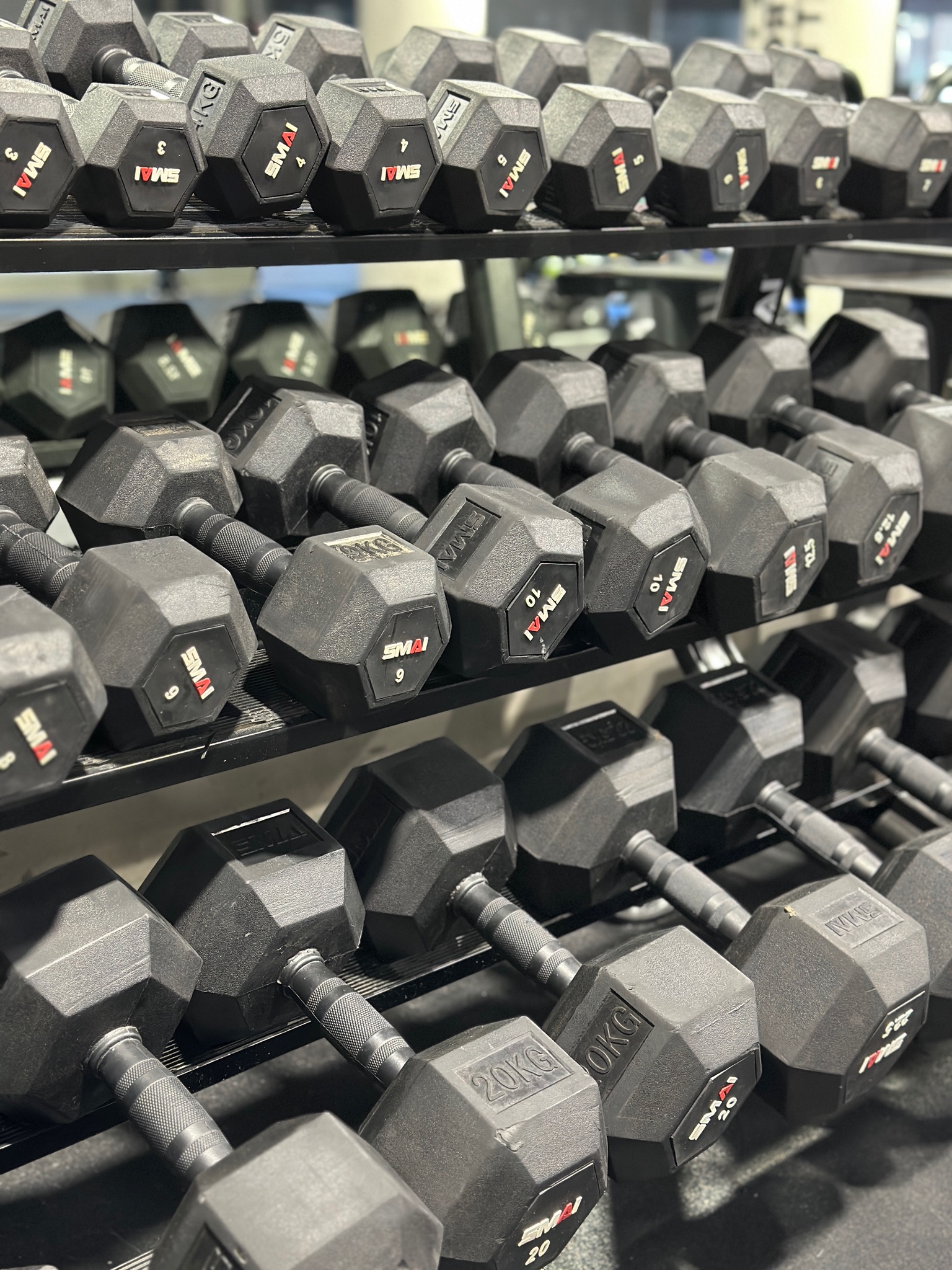 Premium dumbbell rack and bumper plates